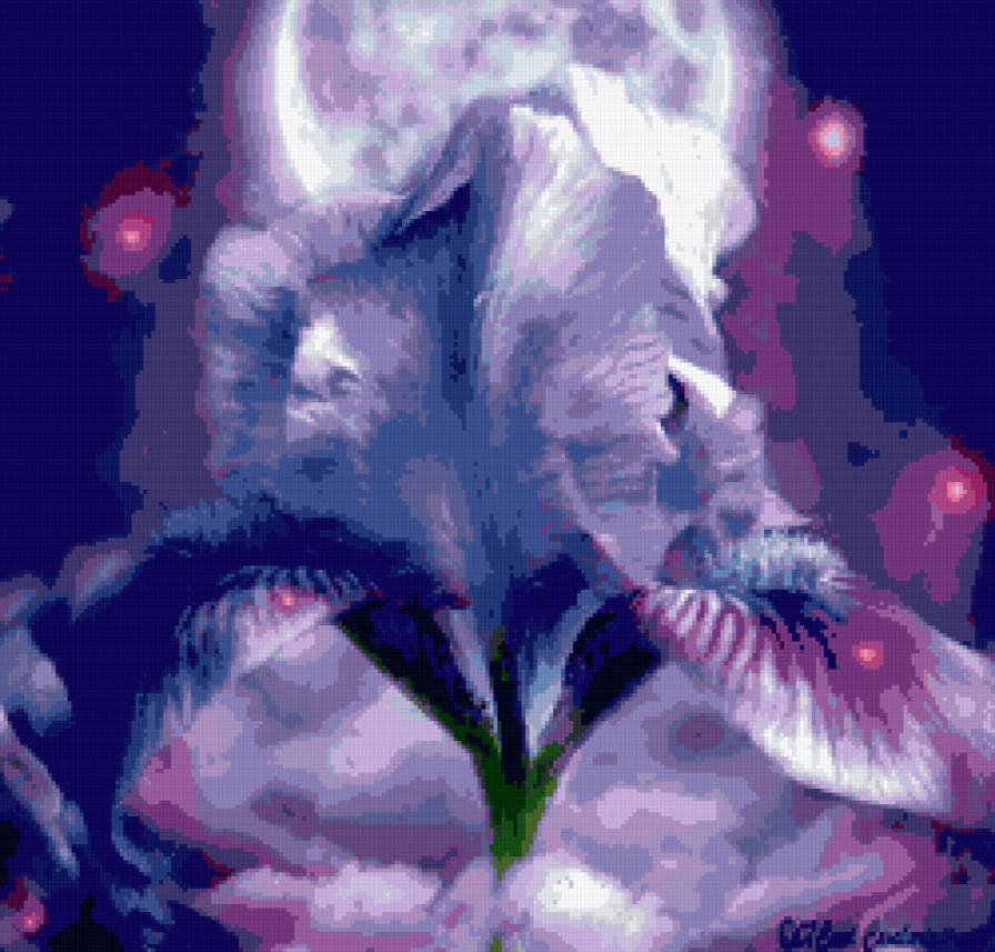 ирис - цветы - предпросмотр