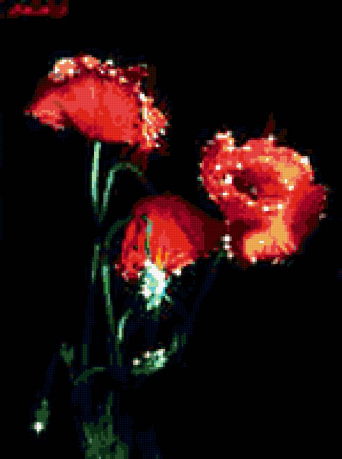 маки - цветы - предпросмотр