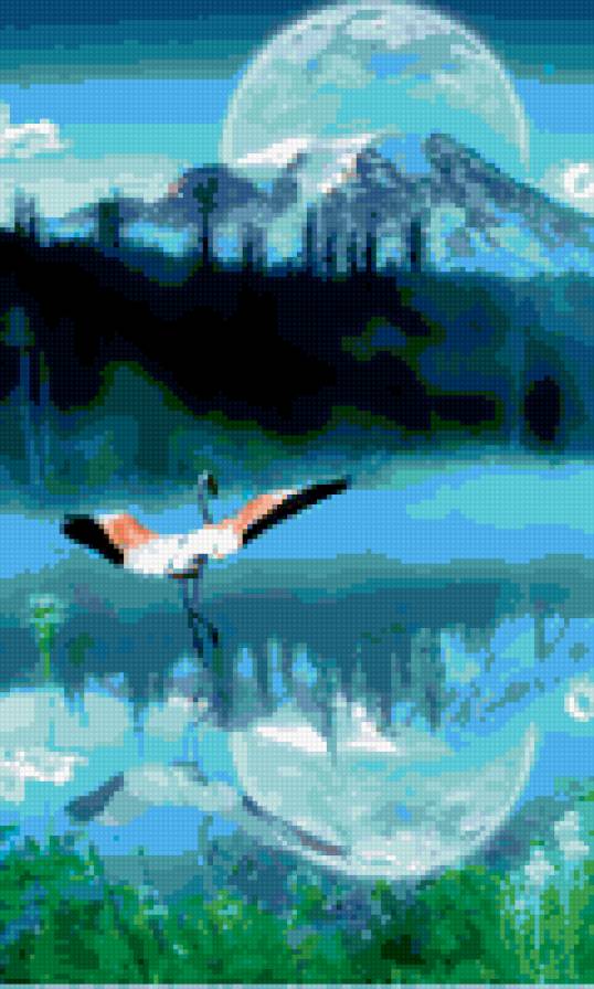 отражение - птицы - предпросмотр