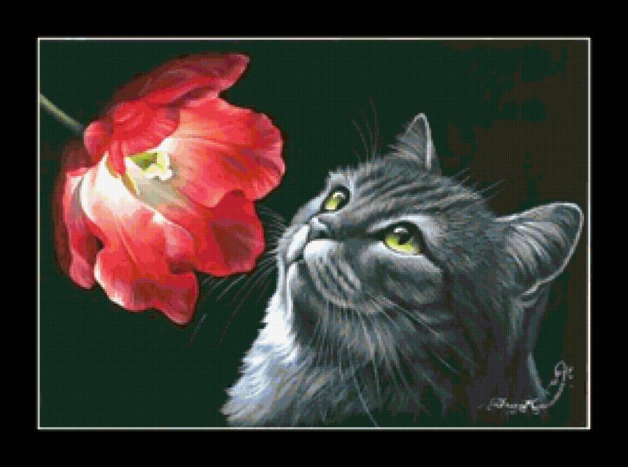 кот - предпросмотр