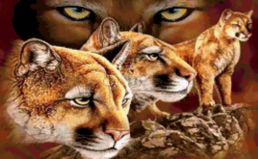 №204723 - предпросмотр