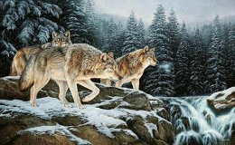 №204728 - оригинал