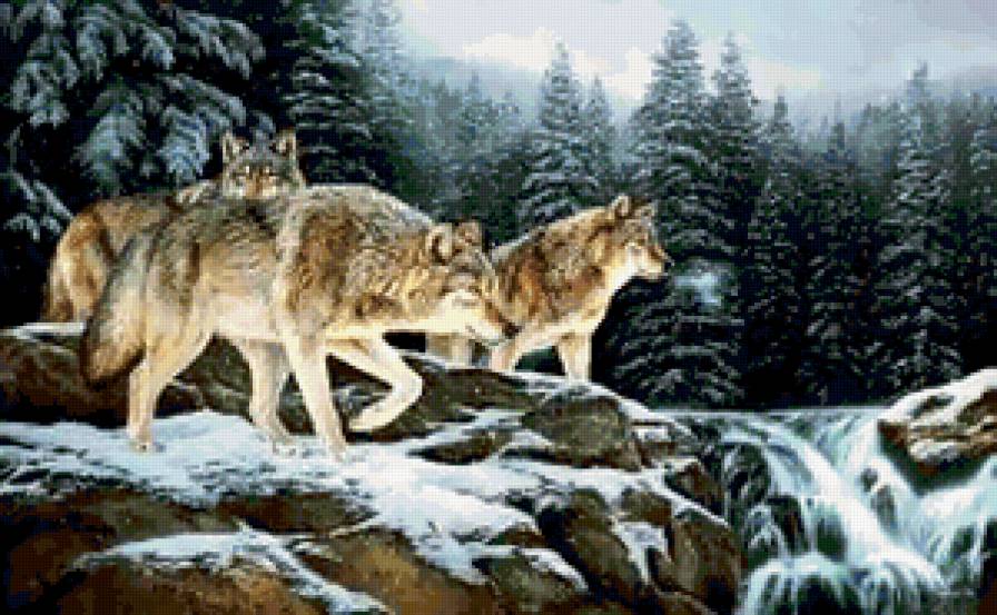 №204728 - предпросмотр