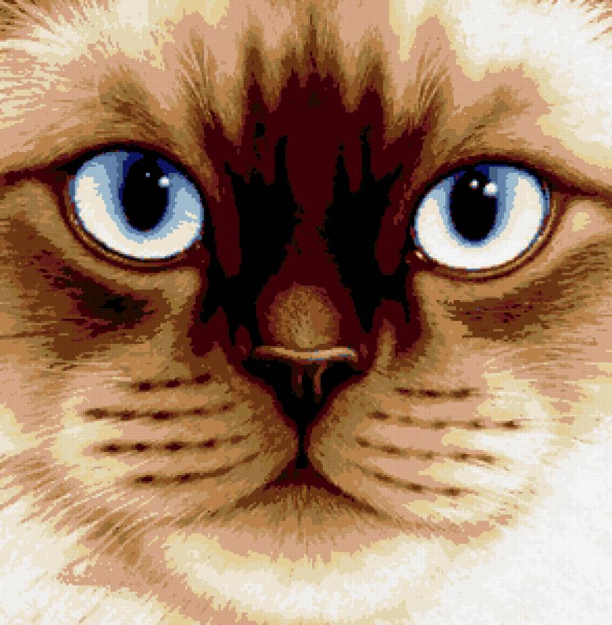 09 - кот, котенок, подушка - предпросмотр