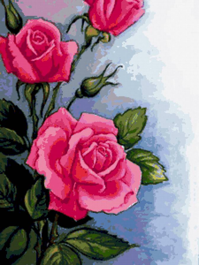 Розы - цветы, розы - предпросмотр