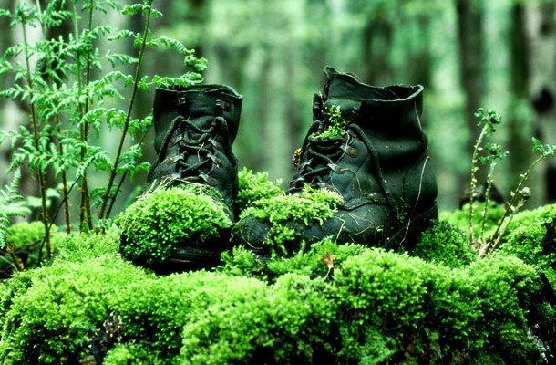 Ботки - лес, красота, природа, ботинки - оригинал