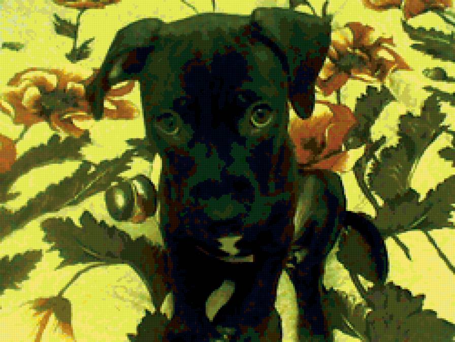 КЕРИ1 - предпросмотр