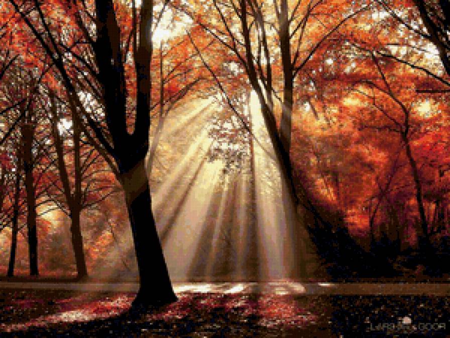 осень - осень - предпросмотр