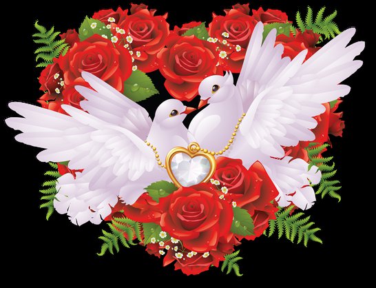 голуби - оригинал