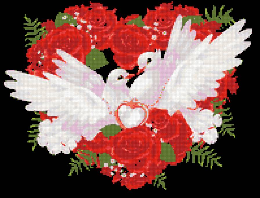 голуби - предпросмотр