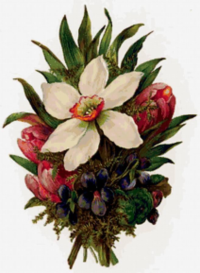 №205074 - предпросмотр