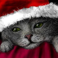 Схема вышивки «санта лапус»