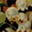 Предпросмотр схемы вышивки «№205099»