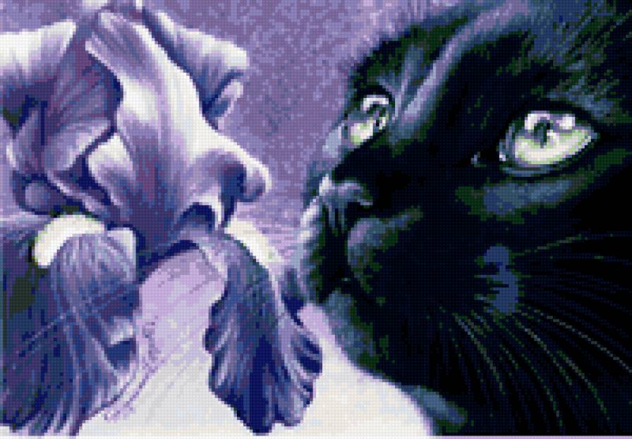 kot - kot - предпросмотр