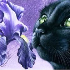 Схема вышивки «kot»