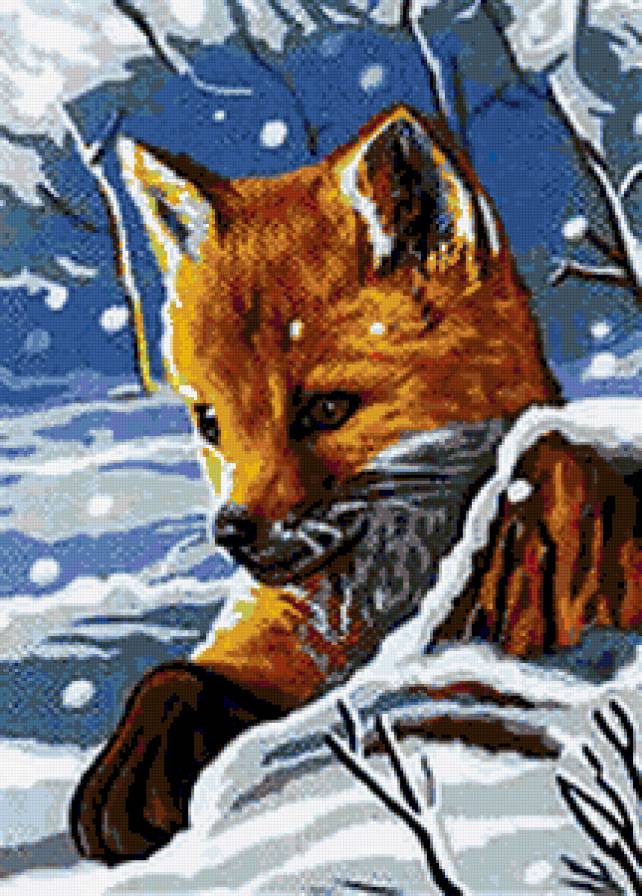 Лисичка - животные - предпросмотр