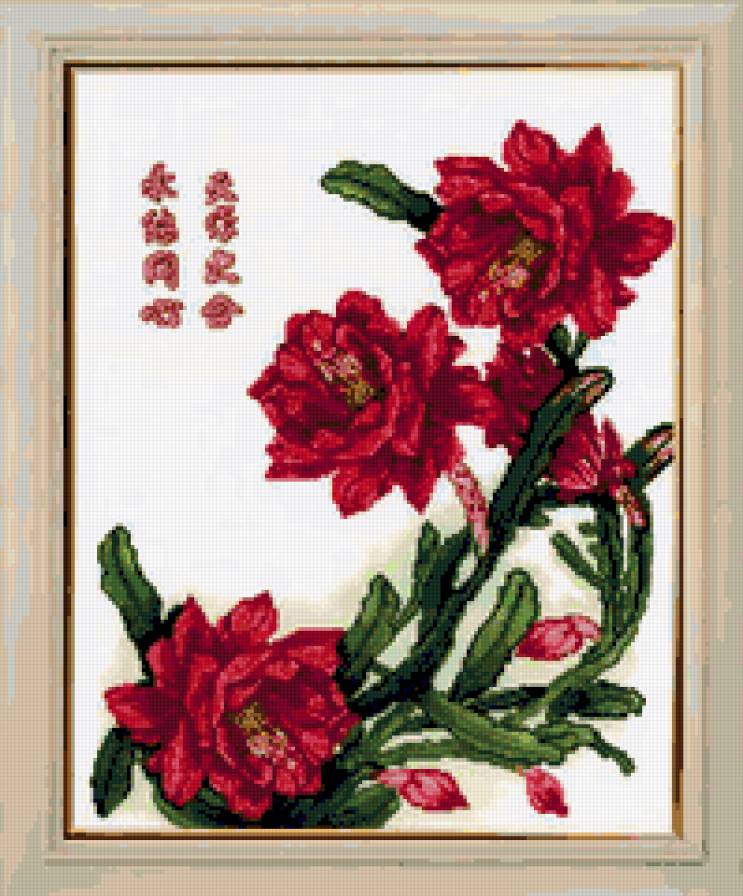 пасхальный кактус - цветы.кактус - предпросмотр