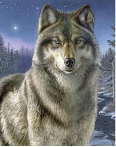 НОЧНОЙ ВОЛК - волк, волки, хищник, животные - оригинал