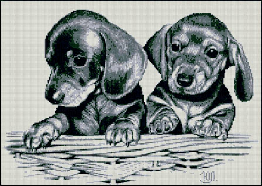 015 - животные, собака, щенок - предпросмотр