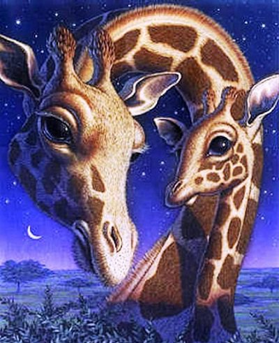 жирафы - фауна - оригинал