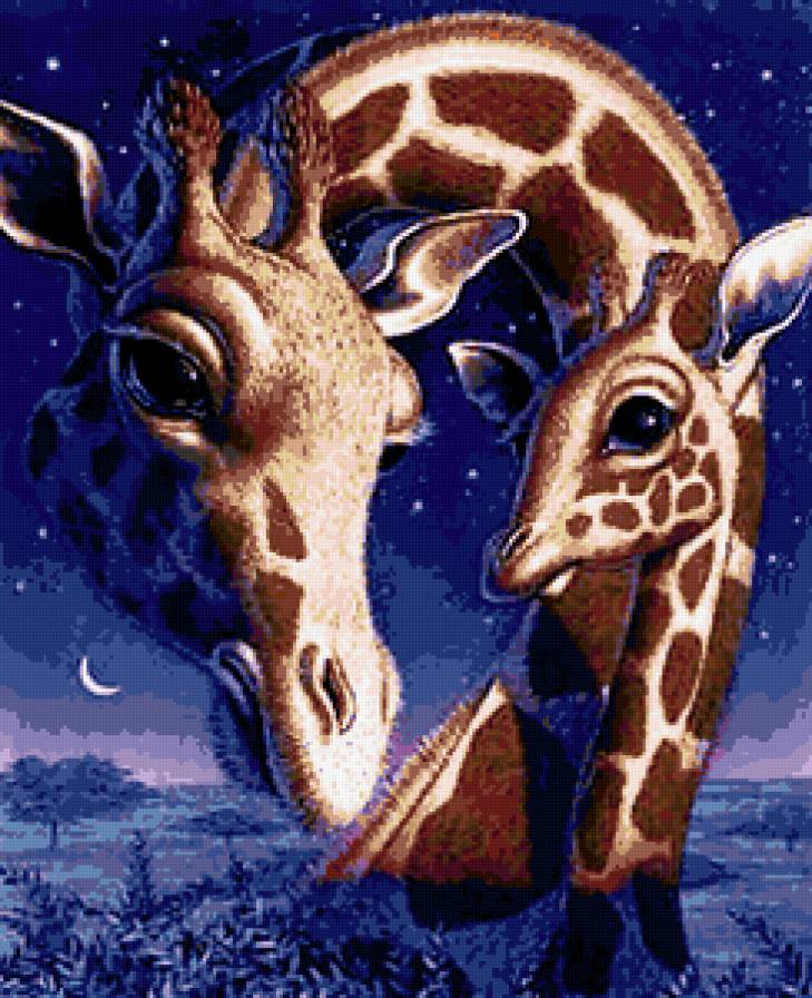 жирафы - фауна - предпросмотр
