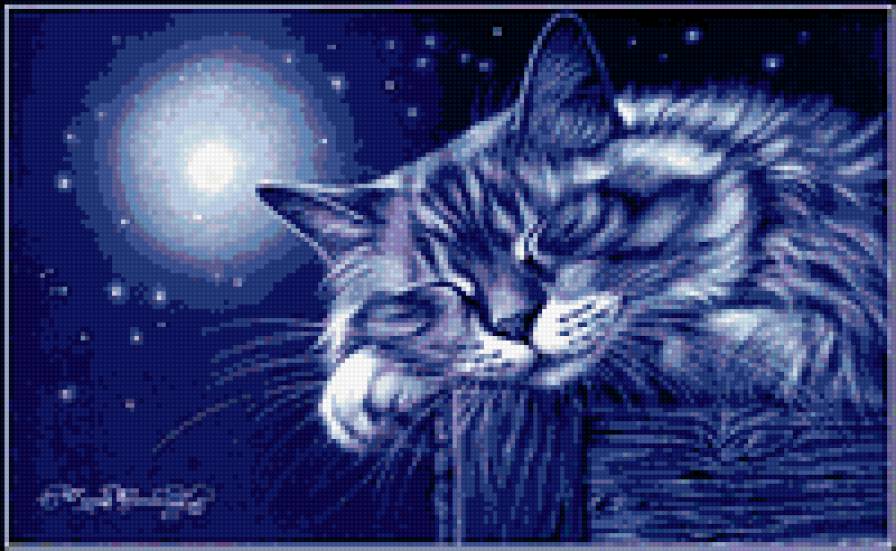 №205776 - коты - предпросмотр