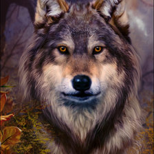 Оригинал схемы вышивки «волк» (№205783)