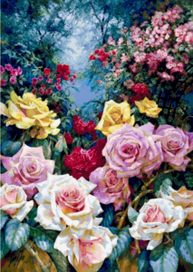 Розы - природа, цветы, розы - предпросмотр