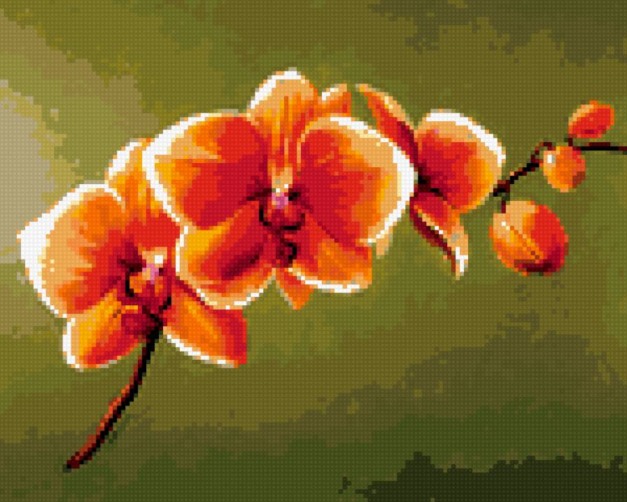 Орхидея - орхидея, цветы - предпросмотр