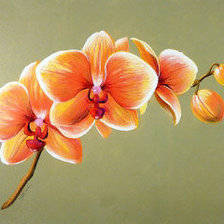 Оригинал схемы вышивки «Орхидея» (№206191)