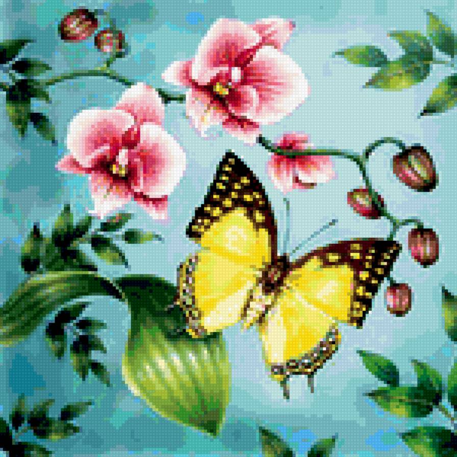 Бабочка с орхидеей - бабочка, цветы, орхидея - предпросмотр