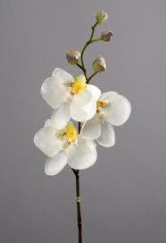 №206206 - оригинал