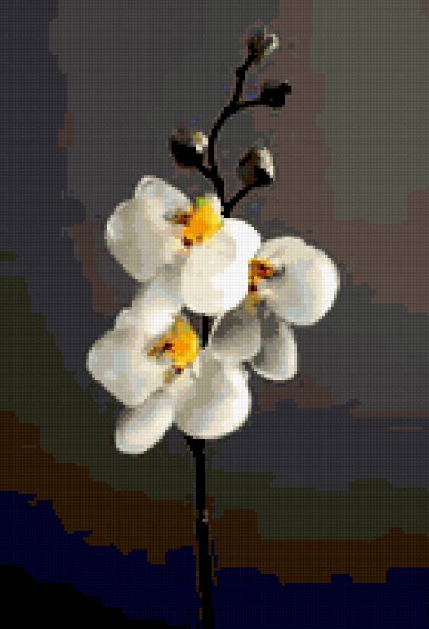 №206206 - предпросмотр