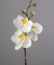 Схема вышивки «№206206»