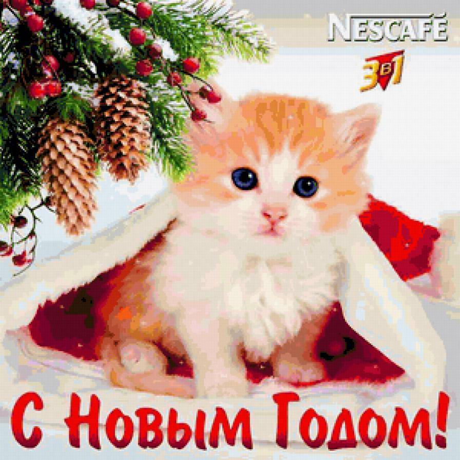 №206279 - предпросмотр