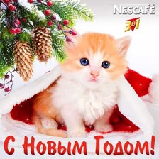 Схема вышивки «№206279»