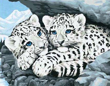 №206305 - оригинал