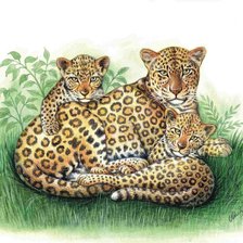 Схема вышивки «№206307»