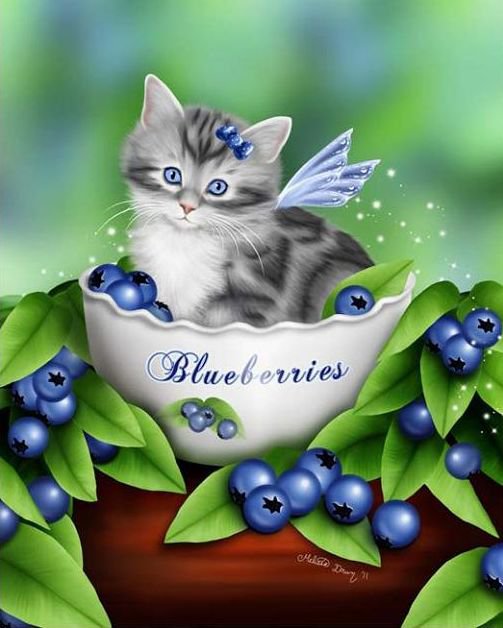 Blueberry Kitten - кошка - оригинал
