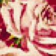 Предпросмотр схемы вышивки «цветы» (№206552)