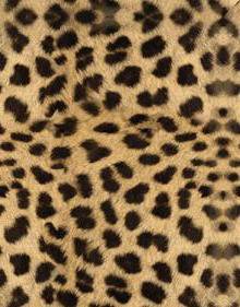 №206716 - оригинал