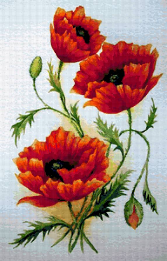 Летние огоньки-2 - натюрморт, цветы, букет, мак, картина, маки - предпросмотр