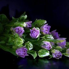 Схема вышивки «сиреневые тюльпаны»