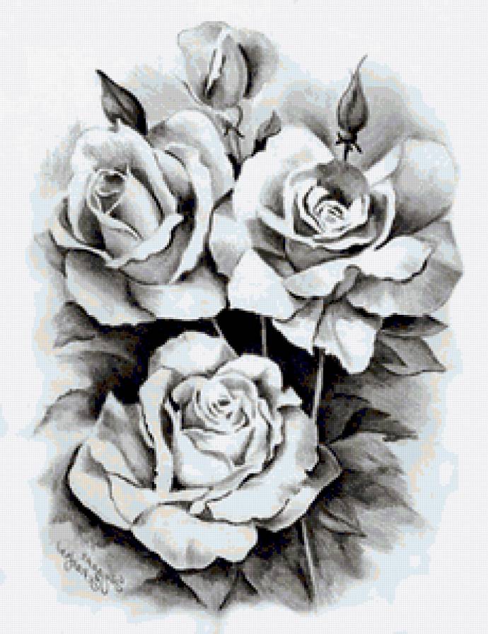 №207126 - предпросмотр