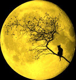 №207127 - оригинал