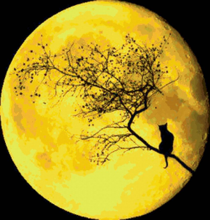 №207127 - предпросмотр