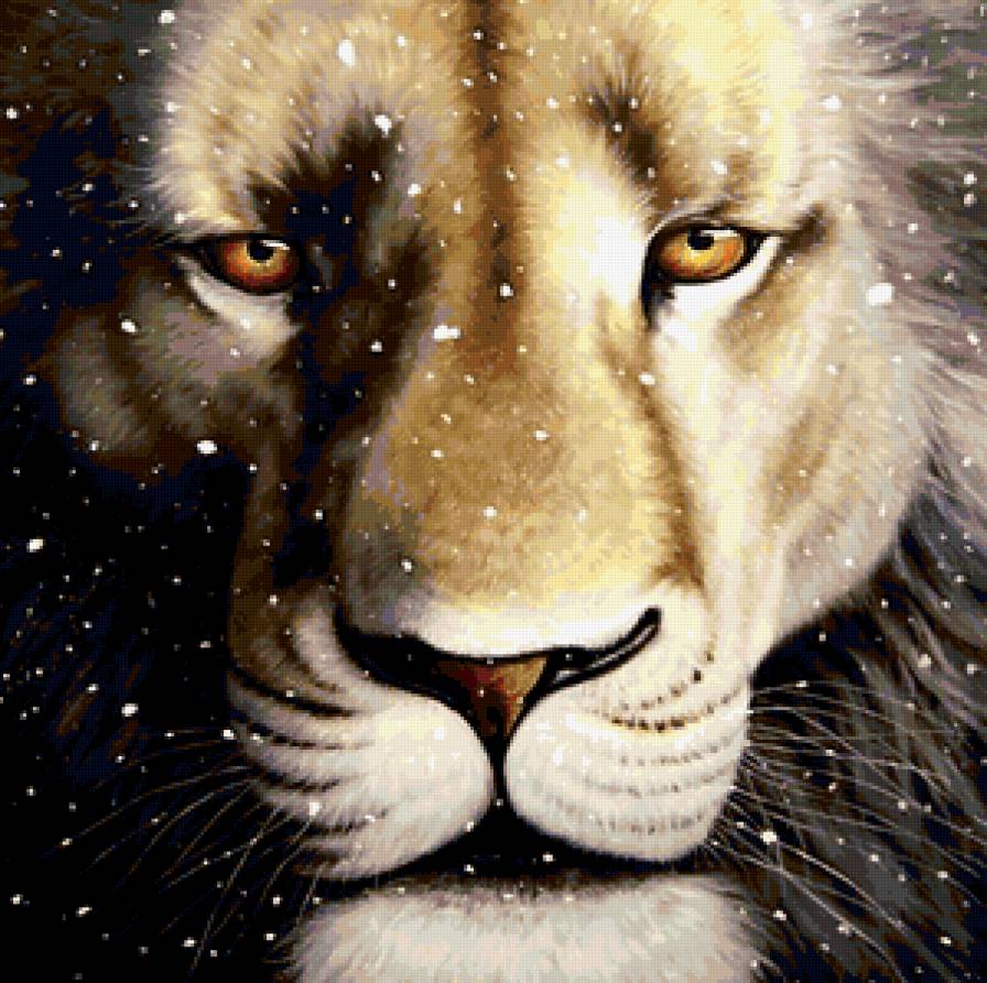 Лев - лев, животные - предпросмотр