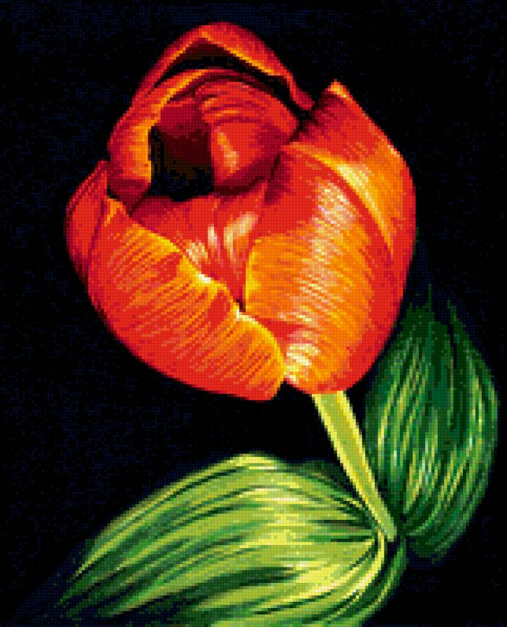 №207151 - предпросмотр