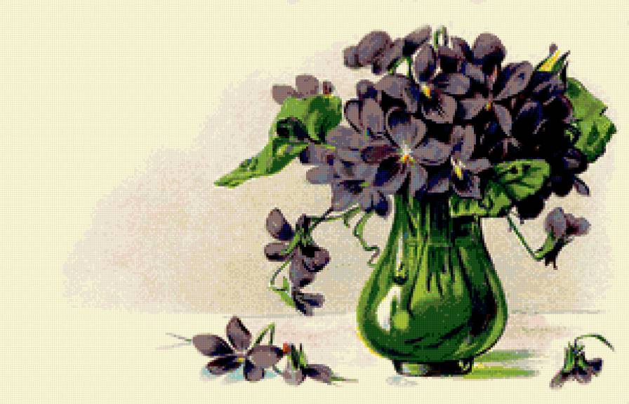 фиалки - предпросмотр