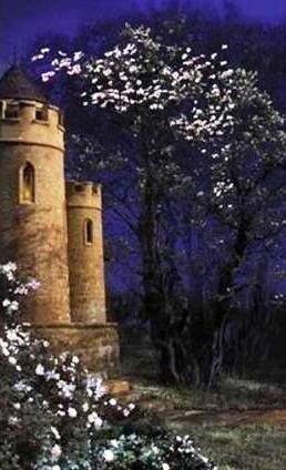 №207201 - оригинал